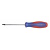 WESTWARD Desarmador Torx de Uso General, 8", Ergonómico, 0.13", 4", T10, Torx(R)